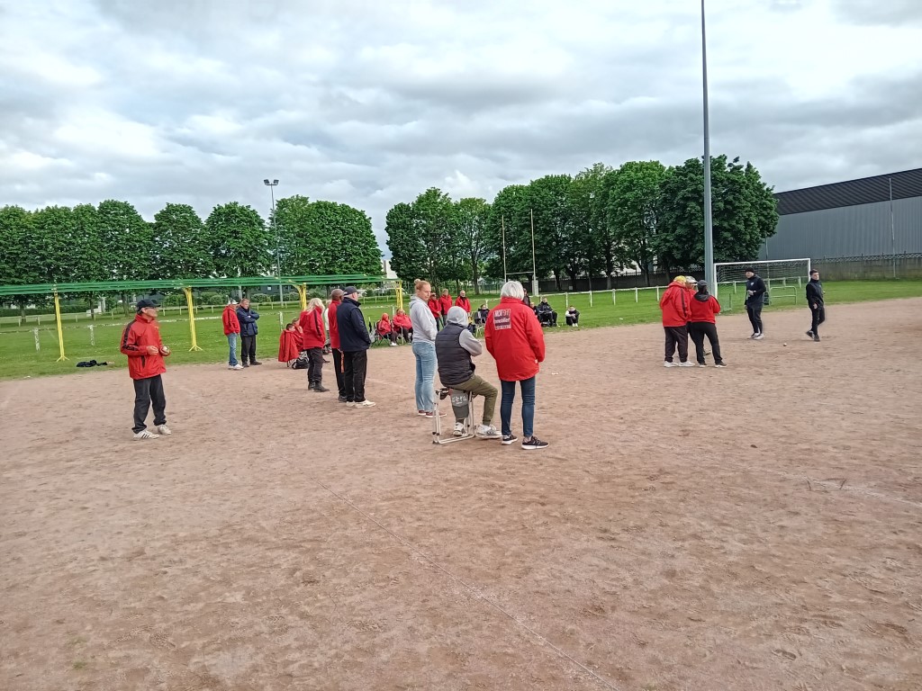 Chat Essonne Tpl Promo 2024 Chat Essonne Tpl Promo 2024