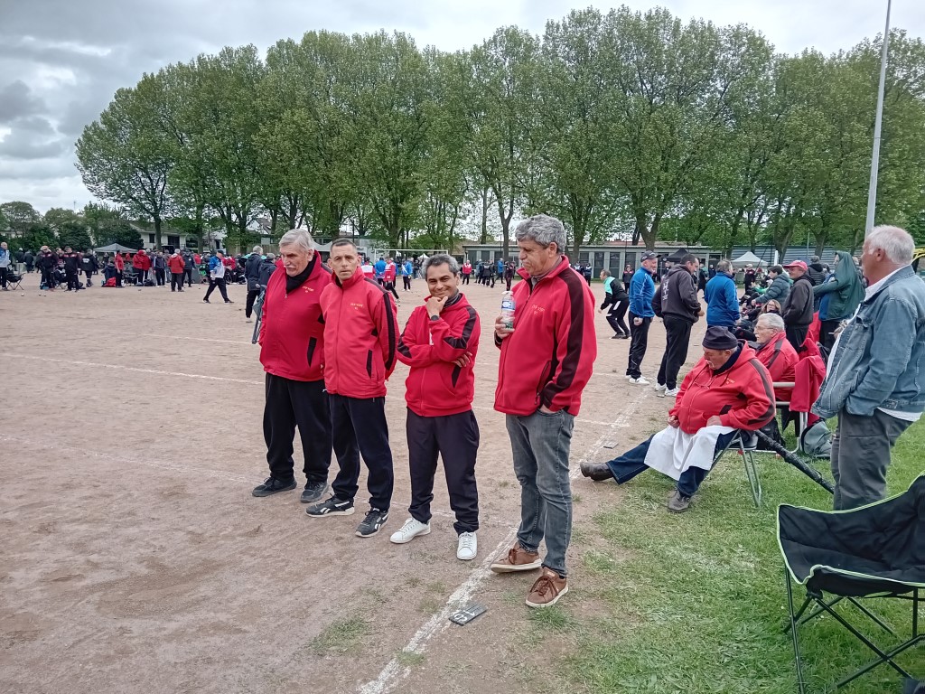 Chat Essonne Tpl Promo 2024 Chat Essonne Tpl Promo 2024