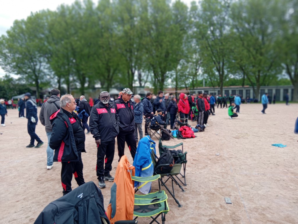 Chat Essonne Tpl Promo 2024 Chat Essonne Tpl Promo 2024