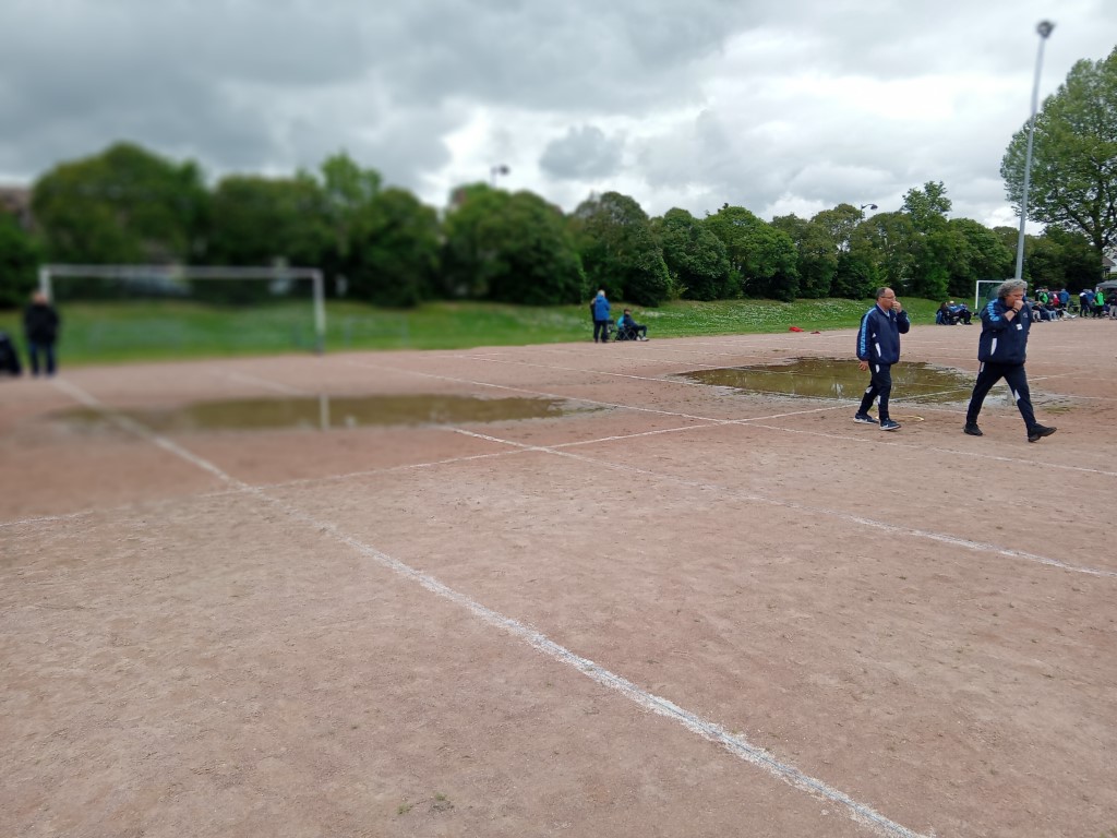 Chat Essonne Tpl Promo 2024 Chat Essonne Tpl Promo 2024