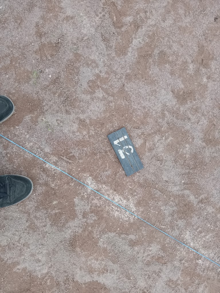 Chat Essonne Tpl Promo 2024 Chat Essonne Tpl Promo 2024