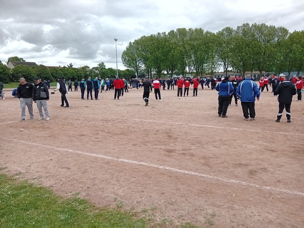 Chat Essonne Tpl Promo 2024 Chat Essonne Tpl Promo 2024