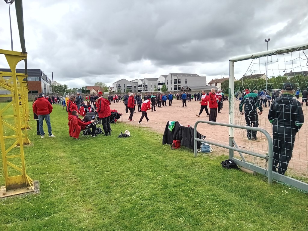 Chat Essonne Tpl Promo 2024 Chat Essonne Tpl Promo 2024