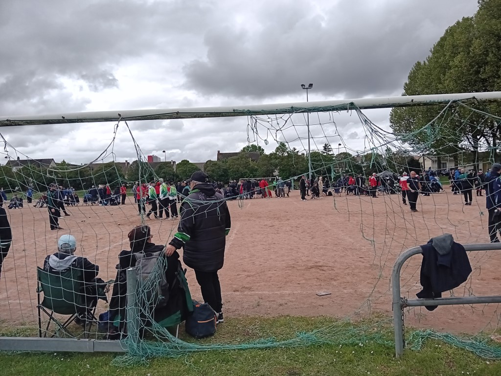 Chat Essonne Tpl Promo 2024 Chat Essonne Tpl Promo 2024