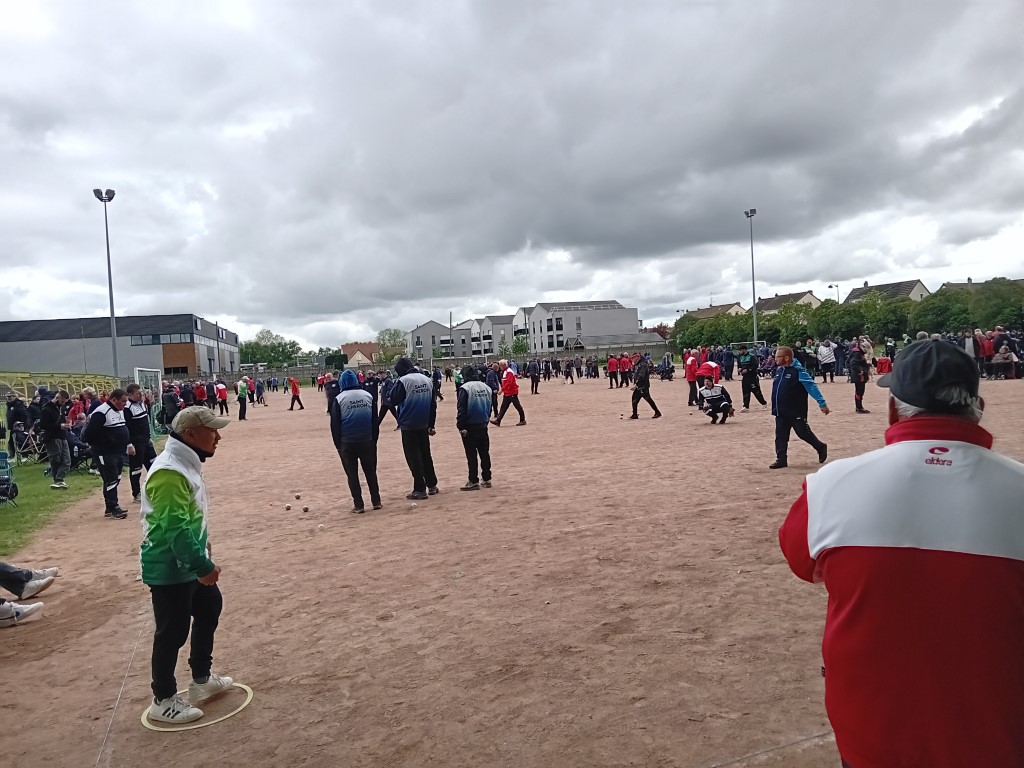 Chat Essonne Tpl Promo 2024 Chat Essonne Tpl Promo 2024