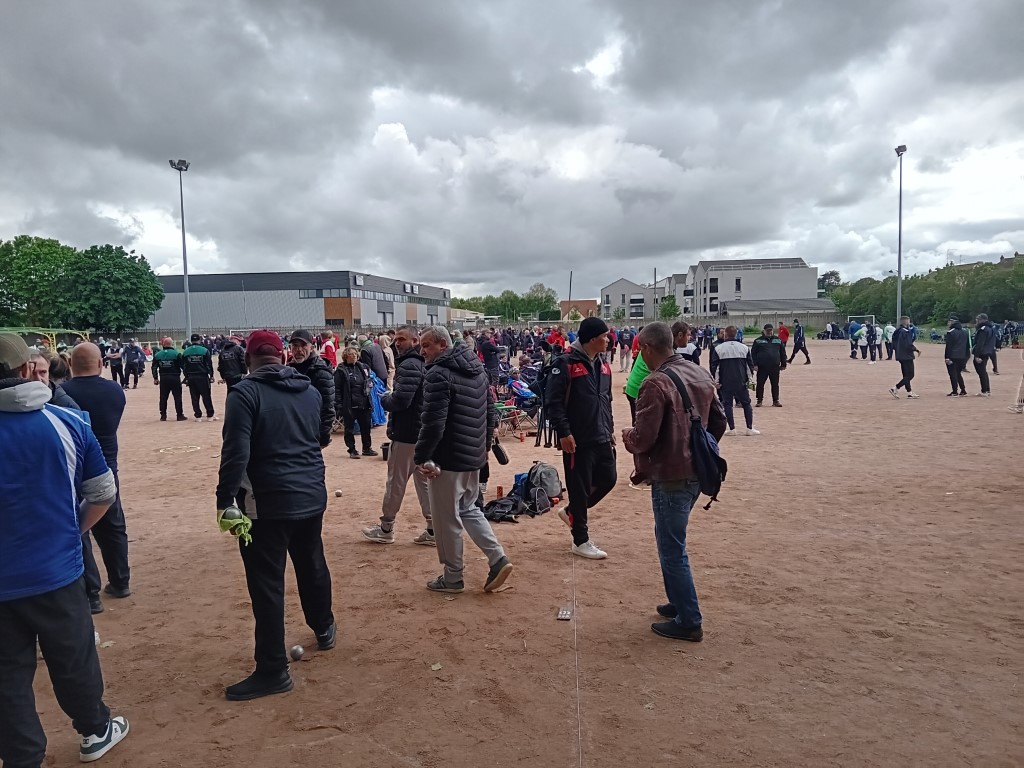 Chat Essonne Tpl Promo 2024 Chat Essonne Tpl Promo 2024