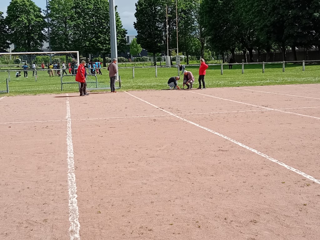 Chat Essonne Tpl Promo 2024 Chat Essonne Tpl Promo 2024