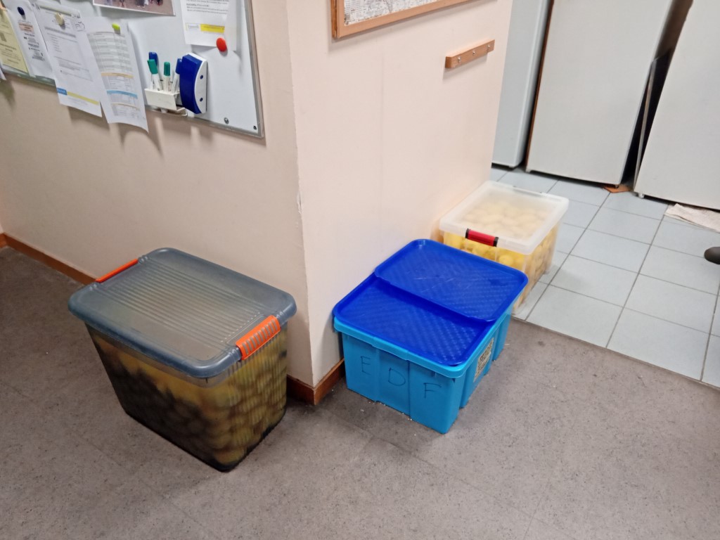 Chat Essonne Tpl Promo 2024 Chat Essonne Tpl Promo 2024