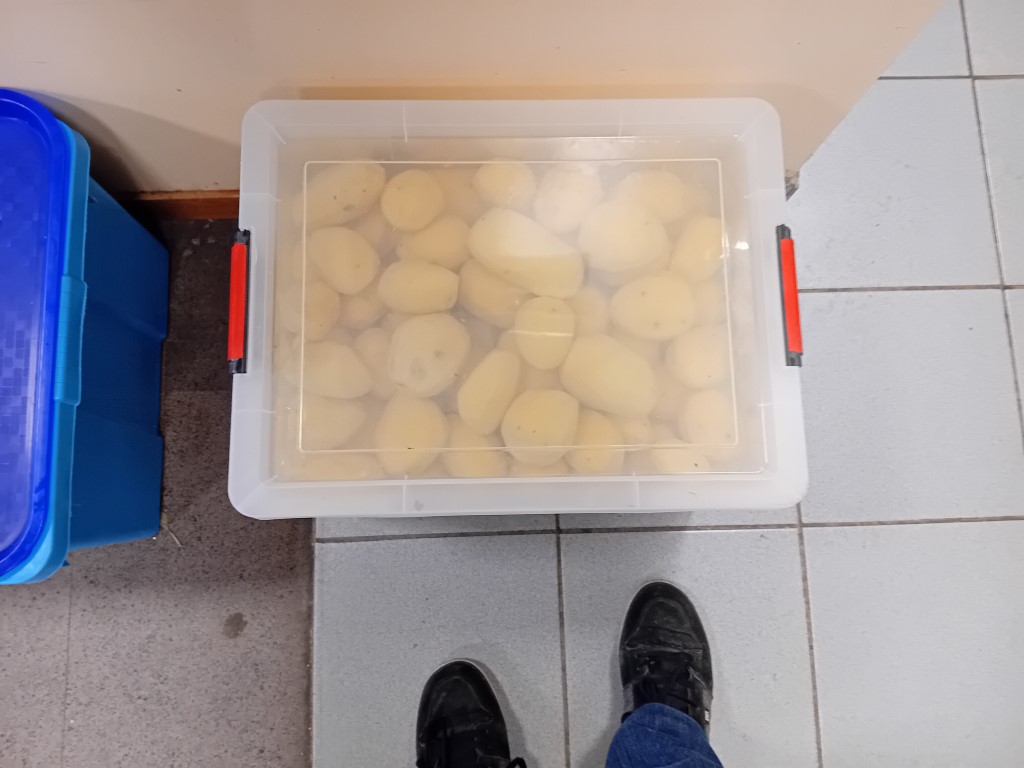 Chat Essonne Tpl Promo 2024 Chat Essonne Tpl Promo 2024