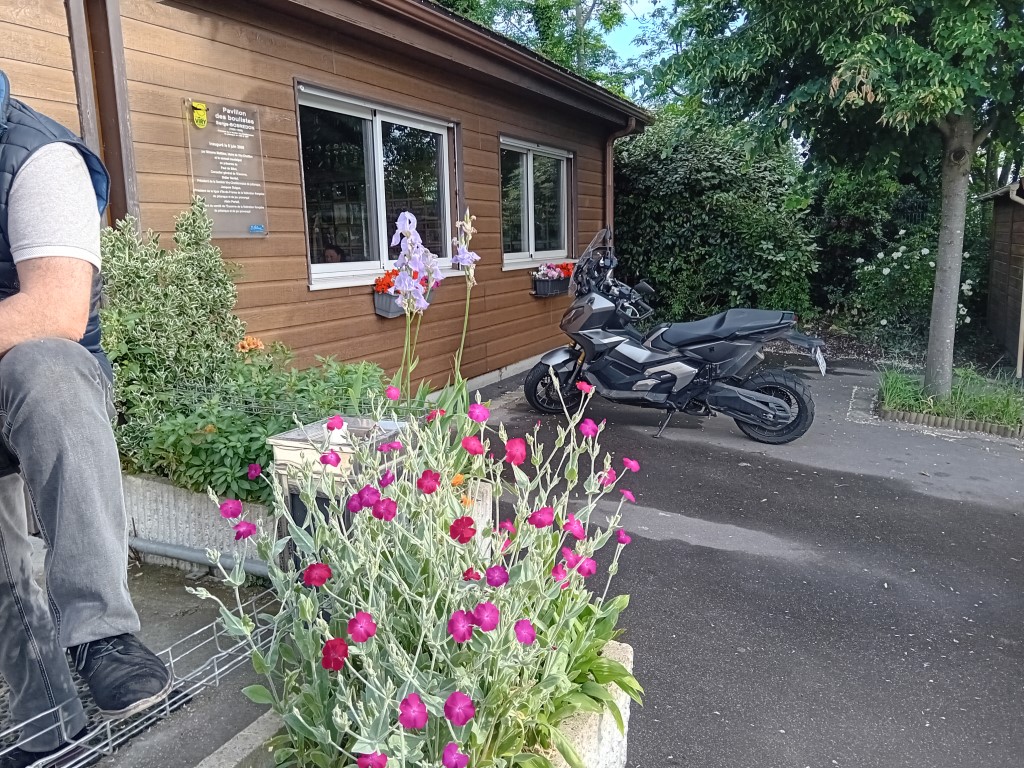 La SVCP en fleurs La SVCP en fleurs