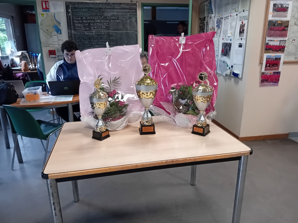 Championnats Régionaux Individuel Féminin et Doublette Senior Championnats Régionaux Individuel Féminin et Doublette Senior