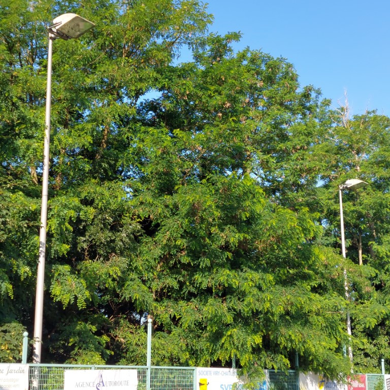 03-Les deux 'victimes' du jour 03-Les deux 'victimes' du jour