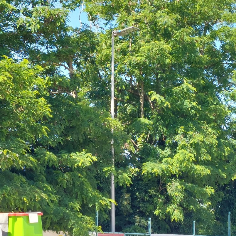 09-11h00 tapante A y est pour le 1er des 2 lampadaires a LED (Medium) 09-11h00 tapante A y est pour le 1er des 2 lampadaires a LED (Medium)