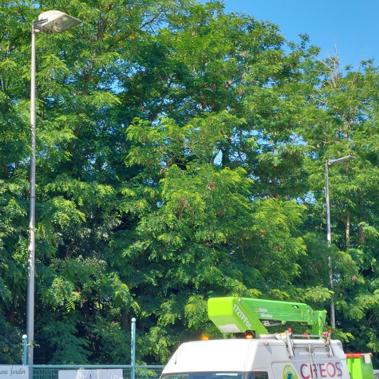 10-Le 2eme n'à qu'à bien se tenir... son tour arrive 10-Le 2eme n'à qu'à bien se tenir... son tour arrive