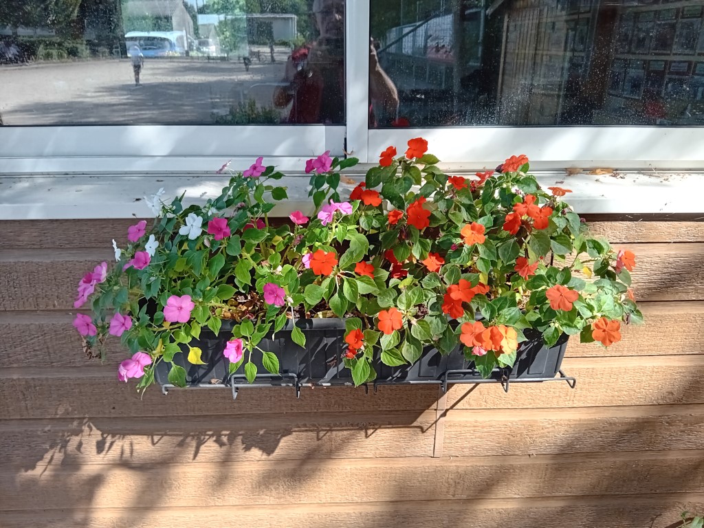 Verdissement de la SVCP Verdissement de la SVCP