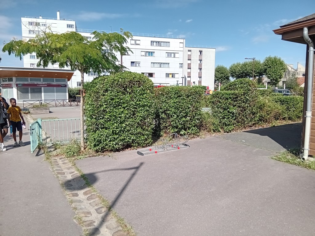 Verdissement de la SVCP Verdissement de la SVCP