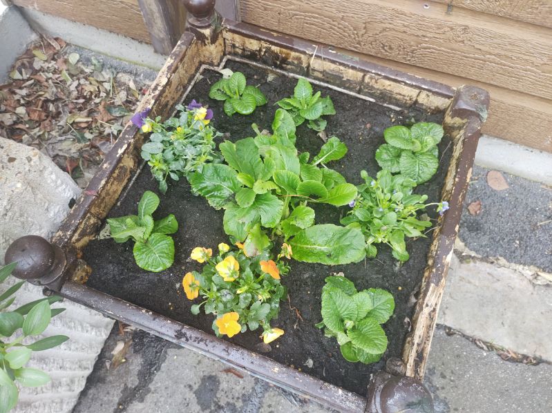 La nature en ville La nature en ville