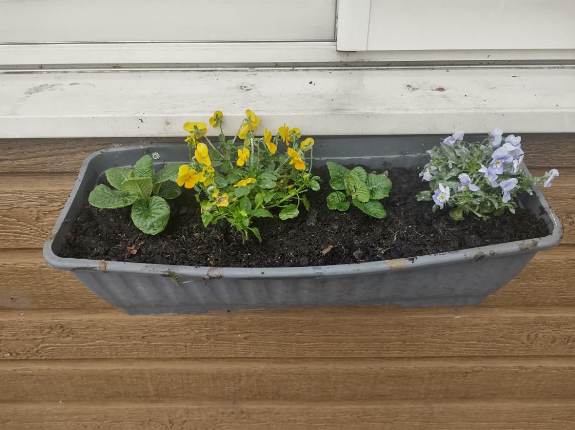 La nature en ville La nature en ville