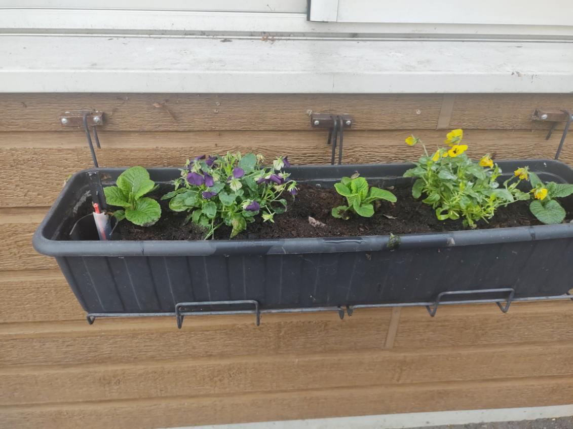 La nature en ville La nature en ville