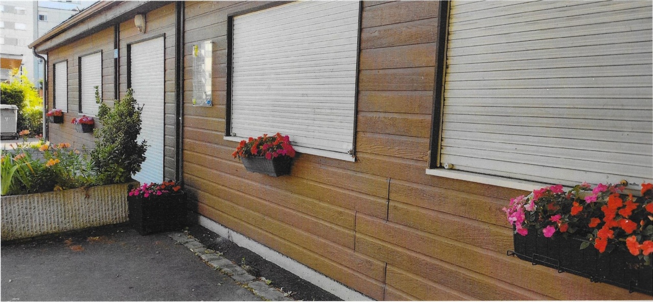 La nature en ville La nature en ville