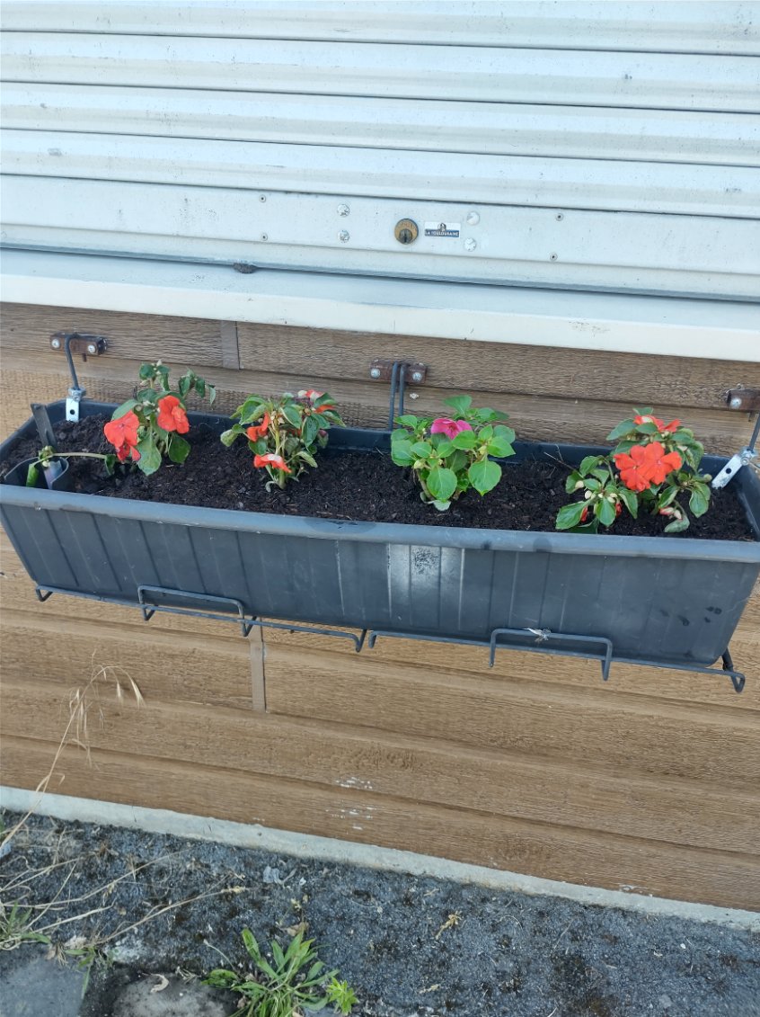 Fleurissement SVCP juin 2025 Fleurissement SVCP juin 2025