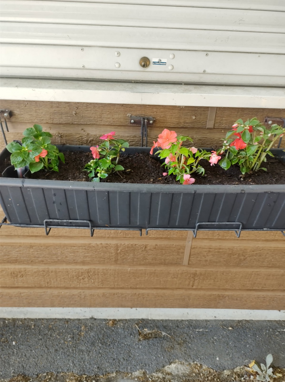 Fleurissement SVCP juin 2025 Fleurissement SVCP juin 2025