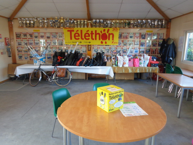 TÉLÉTHON 2014 TÉLÉTHON 2014