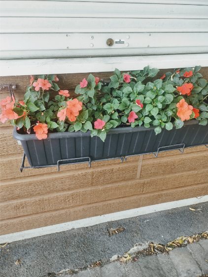 Fleurissement SVCP juillet 2025 Fleurissement SVCP juillet 2025