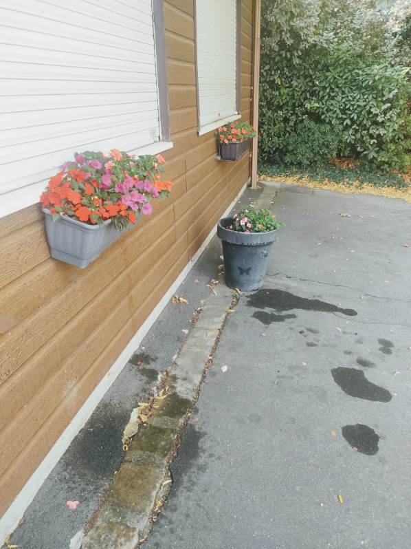 Fleurissement SVCP juillet 2025 Fleurissement SVCP juillet 2025