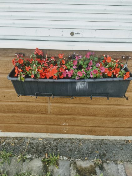 Fleurissement SVCP juillet 2025 Fleurissement SVCP juillet 2025