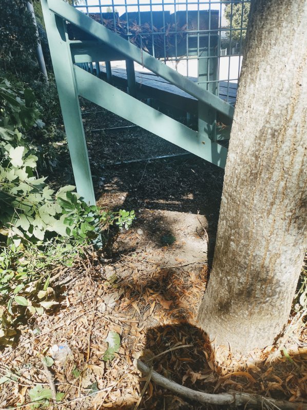 Désherbage sous la tribune Désherbage sous la tribune