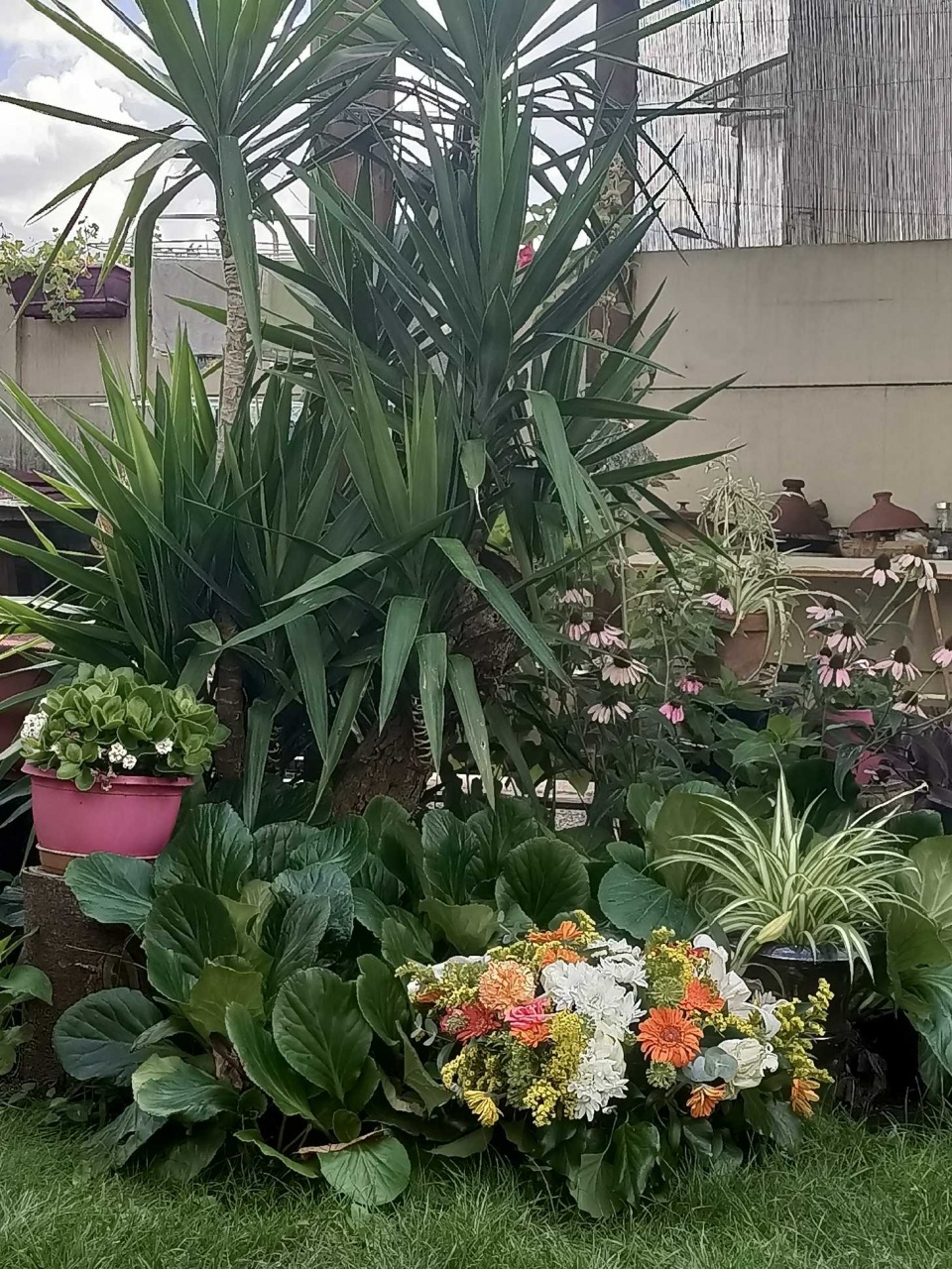 Jean-Louis Prot Jean-Louis Prot