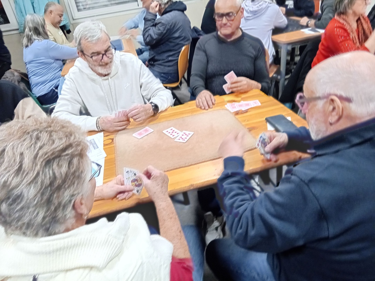 Belote 2026 Belote 2026