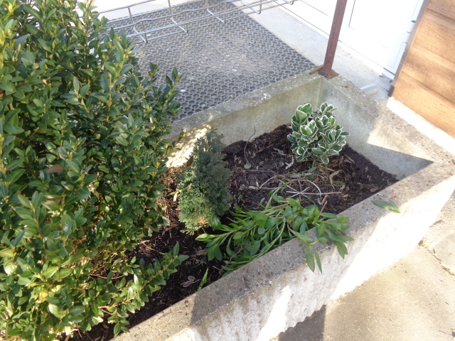 Verdissement SVCP Verdissement SVCP