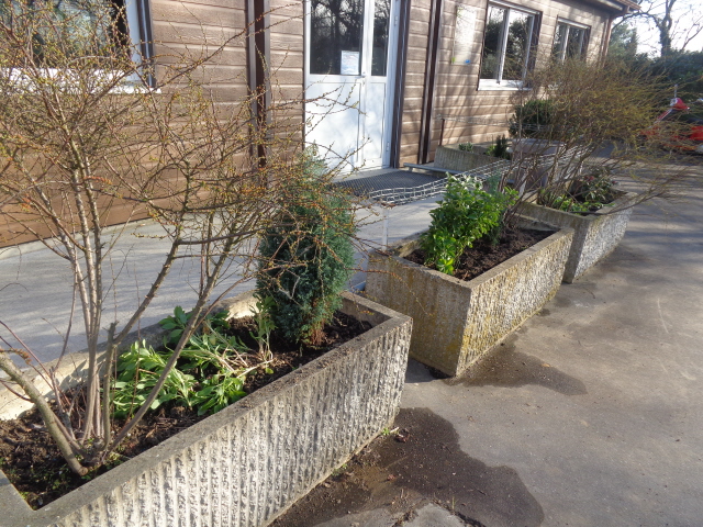 Verdissement SVCP Verdissement SVCP