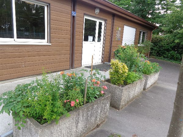 Verdissement Verdissement