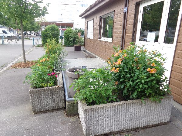 Verdissement Verdissement