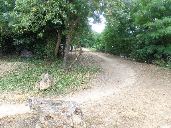 Nettoyage "jungle et décharge" Août 2016 Nettoyage "jungle et décharge" Août 2016