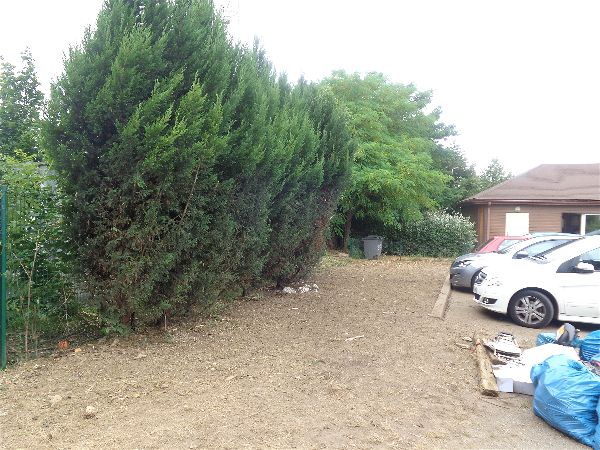 Nettoyage "jungle et décharge" Août 2016 Nettoyage "jungle et décharge" Août 2016