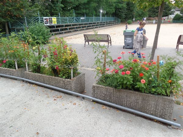 "Jardin SVCP" "Jardin SVCP"