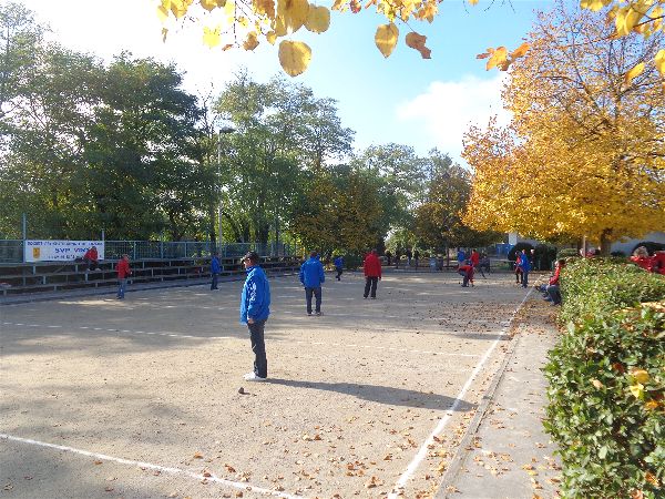 Chat 91 clubs 2016 Chat 91 clubs 2016