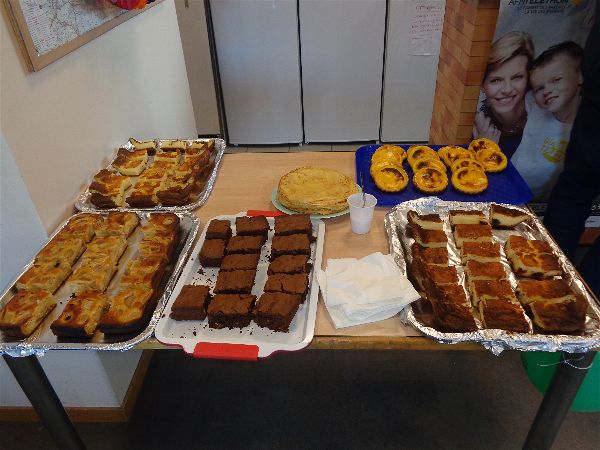 TELETHON 2016 TELETHON 2016