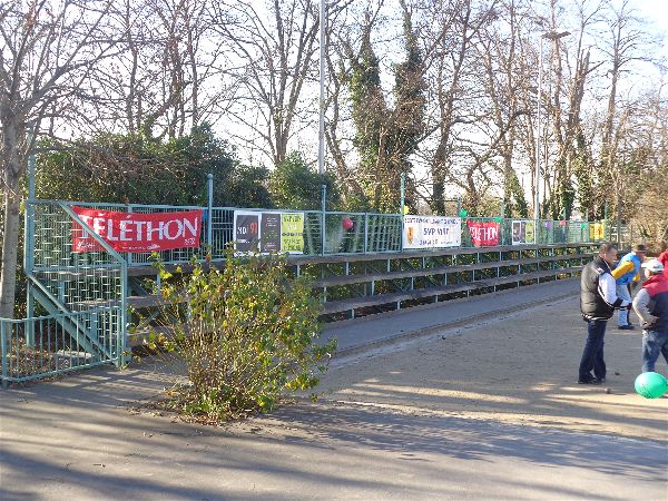 TELETHON 2016 TELETHON 2016