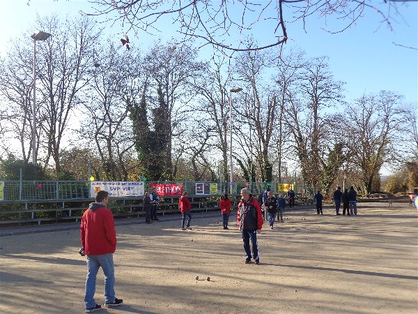 TELETHON 2016 TELETHON 2016