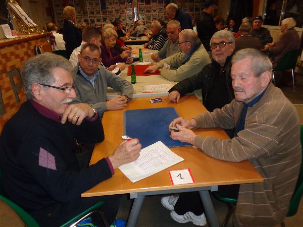 DSC05271-opt DSC05271-opt