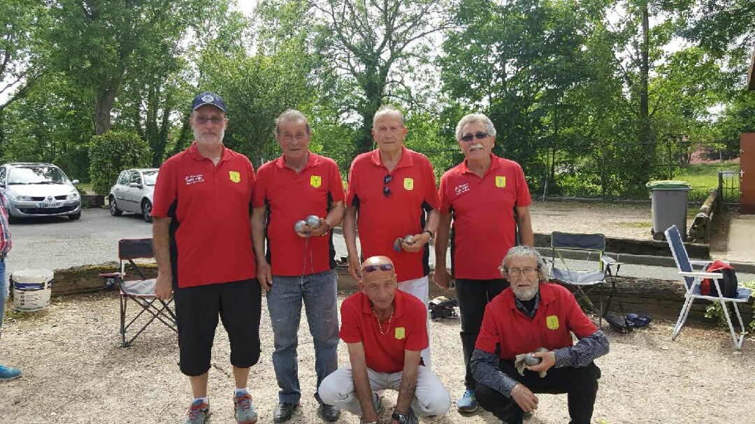 Chat Essonne Vétérans 2017 Chat Essonne Vétérans 2017