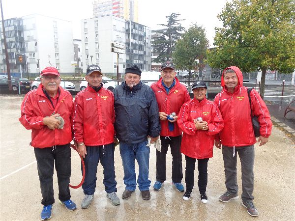 Chat Essonne Vétérans 2017 Chat Essonne Vétérans 2017