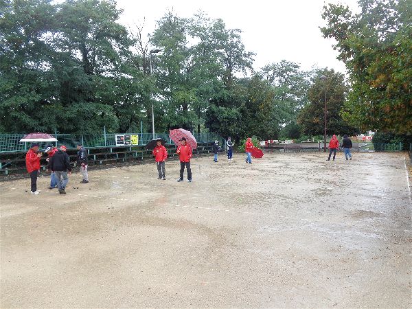 Chat Essonne Vétérans 2017 Chat Essonne Vétérans 2017