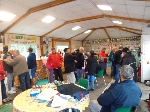 Chat Essonne Vétérans 2017 Chat Essonne Vétérans 2017