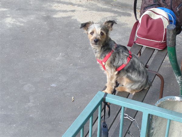 Joueur du Mois 05 Joueur du Mois 05